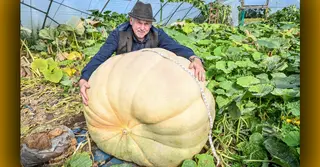 কুমড়ো উৎপাদন করে রেকর্ড রুশ যুবকের